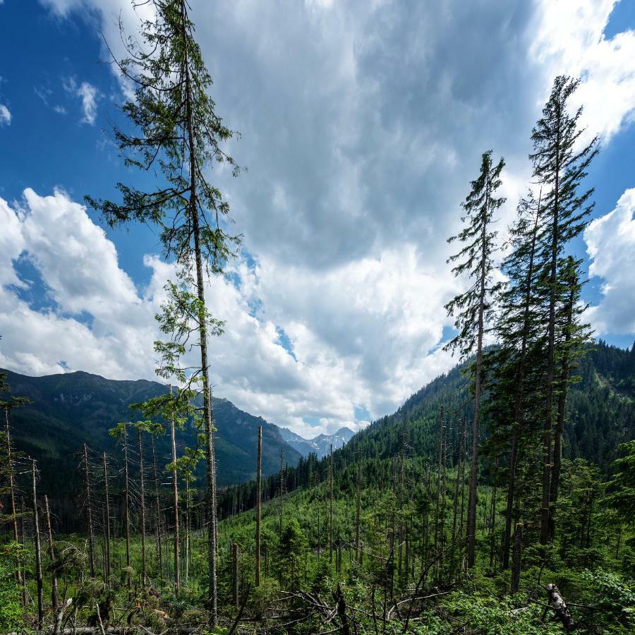 Apartmán Smrek Martina Apr.C.57 Štrbské Pleso Exteriér fotografie